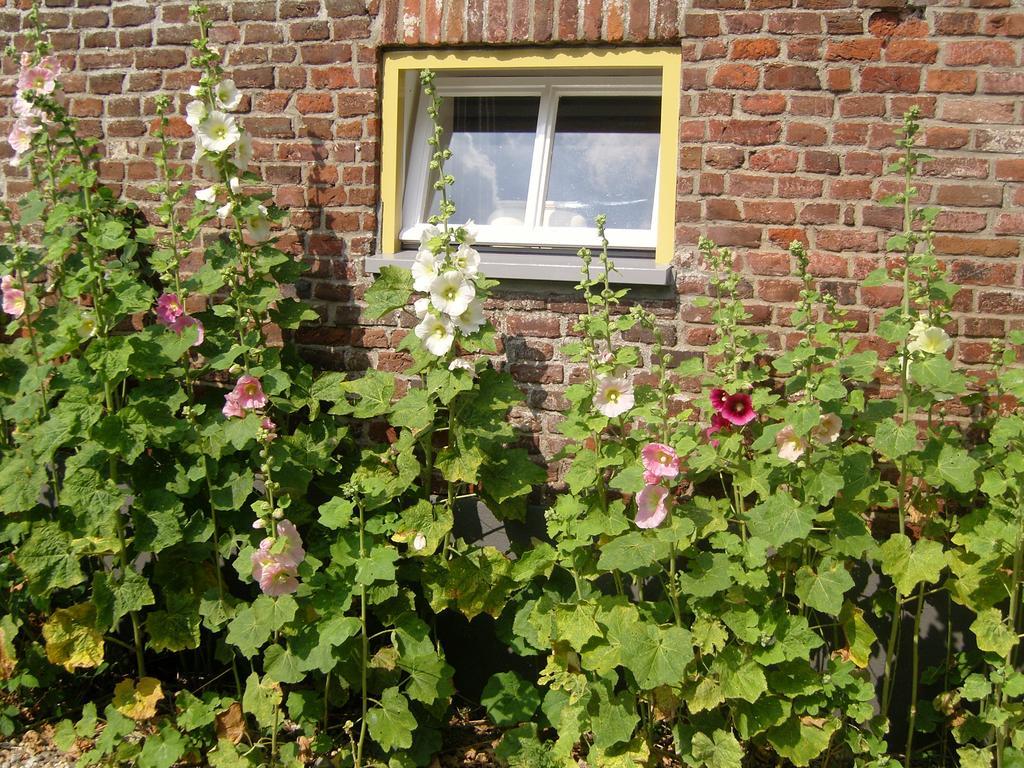 Bed & Breakfast Appeltern المظهر الخارجي الصورة